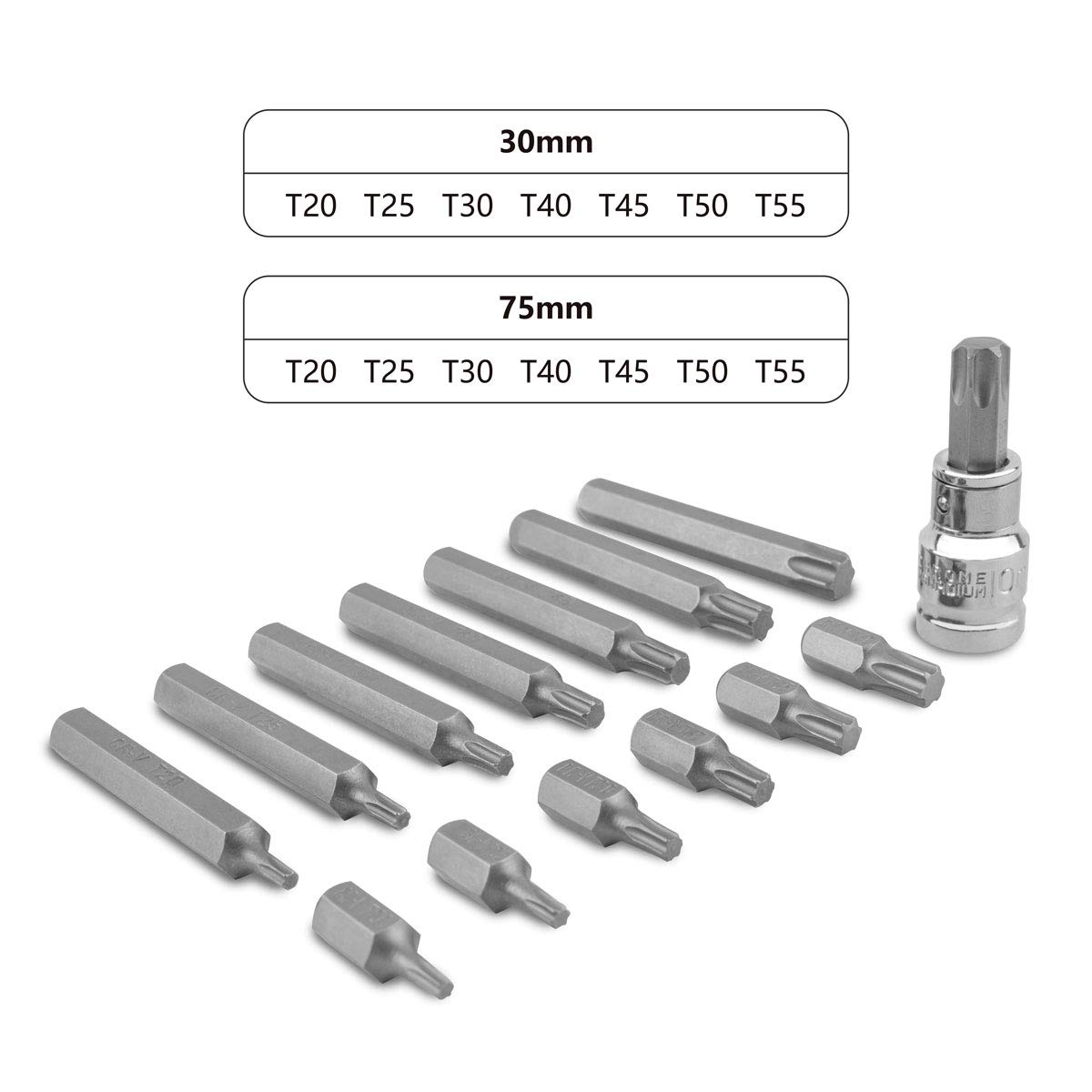 gunpla-torx-bits-set-15-tlg-t20-t55-1-2-zoll-30-75-mm image 3