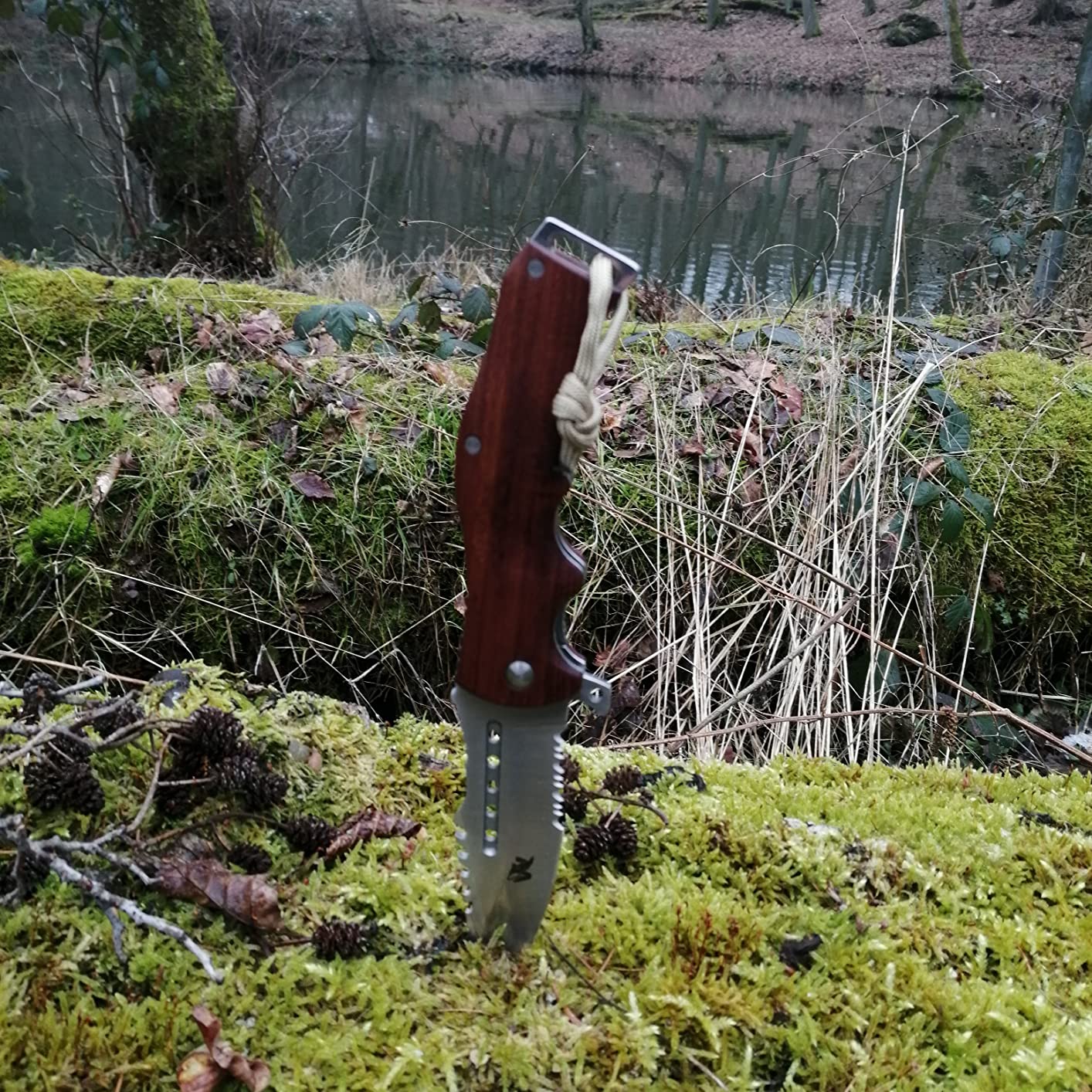 Toller Griff